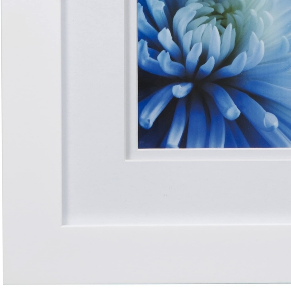 Blue Mums in 8x10 Flat White Tabletop/Wall Frame, Double Mat, 5x7 interior - Picture 3 of 4